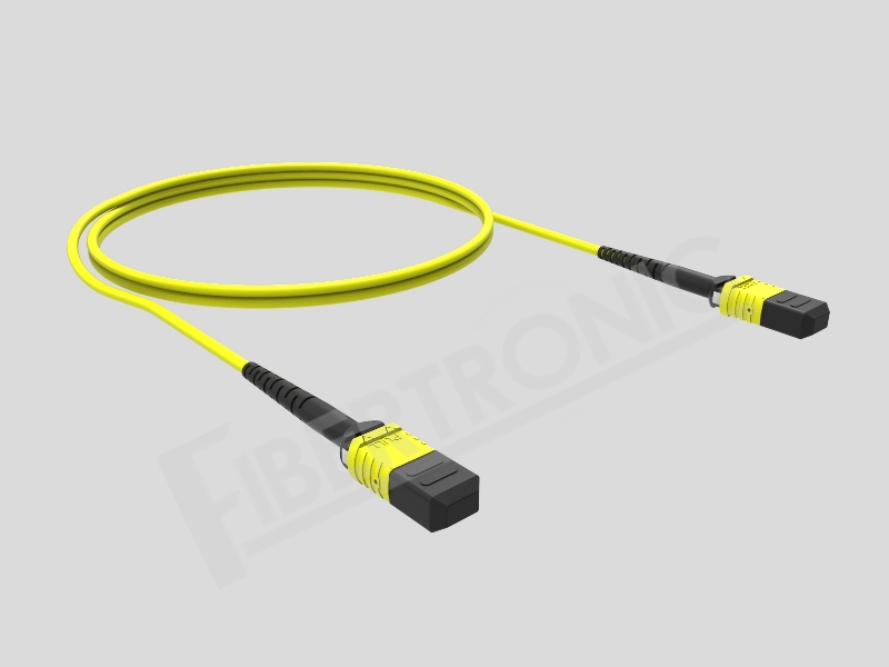 MTP-MTP SM Patch Cord 12F
